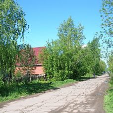 DSCN5113.JPG, зелёные джунгли в микрорайоне Вышка 2, город Пермь, 2005-2006 год