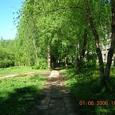 DSCN5133.JPG, зелёные джунгли в микрорайоне Вышка 2, город Пермь, 2005-2006 год