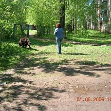 DSCN5142.JPG, зелёные джунгли в микрорайоне Вышка 2, город Пермь, 2005-2006 год