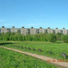 DSCN5226.JPG, зелёные джунгли в микрорайоне Вышка 2, город Пермь, 2005-2006 год