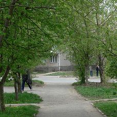 P1020983.JPG, зелёные джунгли в микрорайоне Вышка 2, город Пермь, 2005-2006 год