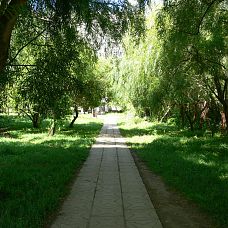 P1090255.JPG, зелёные джунгли в микрорайоне Вышка 2, город Пермь, 2005-2006 год