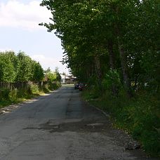 P1090410.JPG, зелёные джунгли в микрорайоне Вышка 2, город Пермь, 2005-2006 год
