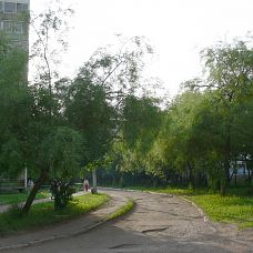 P1610275.jpg, зелёные джунгли в микрорайоне Вышка 2, город Пермь, 2005-2006 год