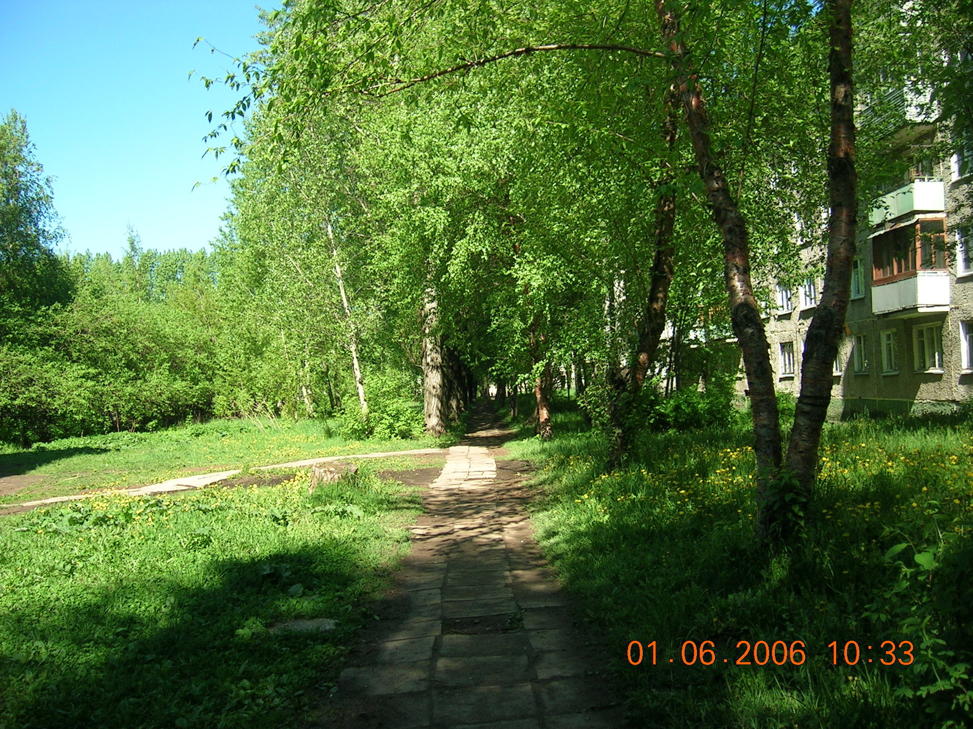 DSCN5133.JPG, зелёные джунгли в микрорайоне Вышка 2, город Пермь, 2005-2006 год
